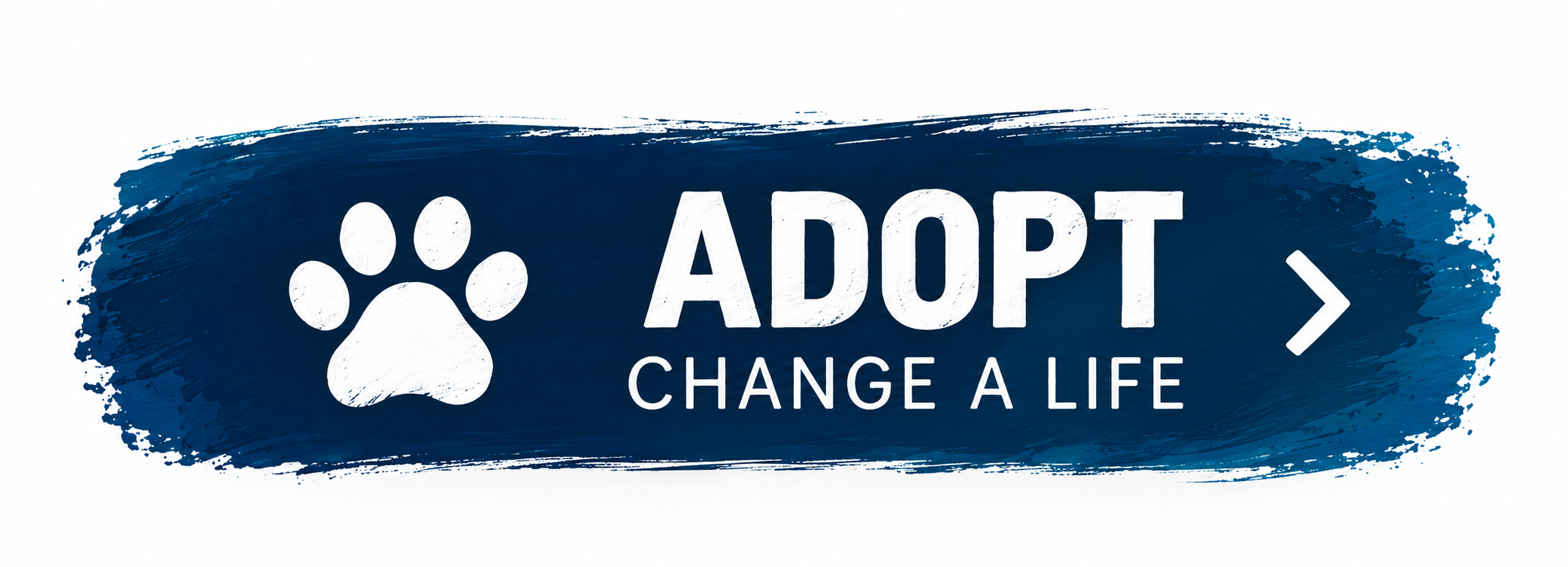 Adopt a Mizfit